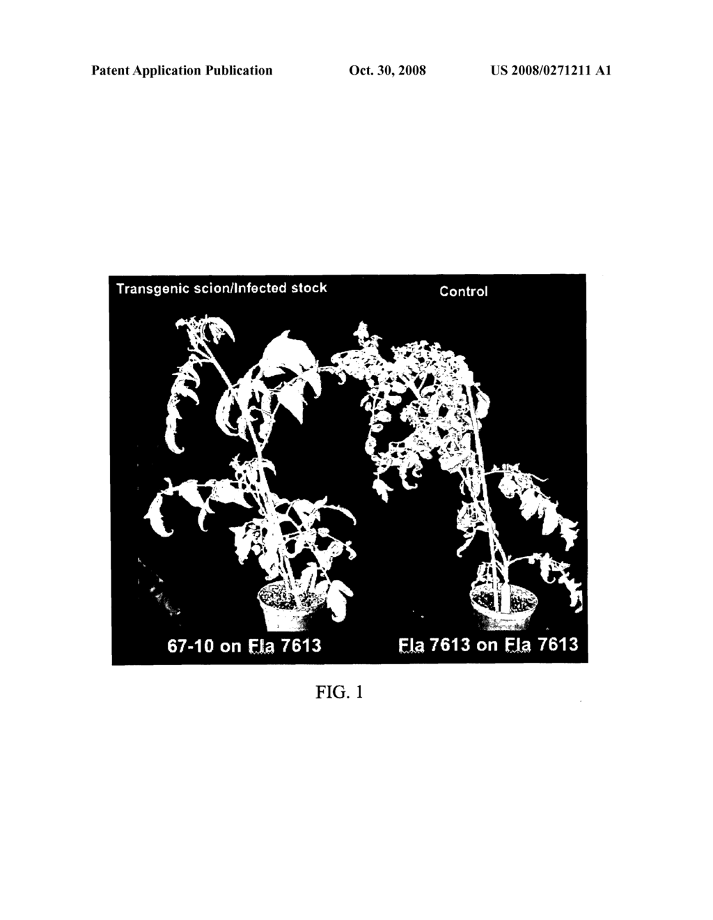 Materials and Methods for Providing Resistance to Plant Pathogens in Non-Transgenic Plant Tissue - diagram, schematic, and image 02