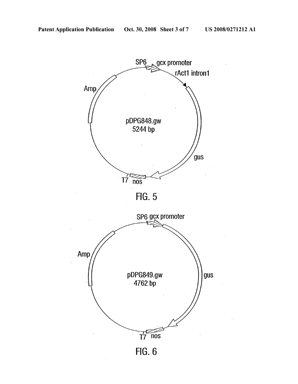 METHODS AND COMPOSITIONS FOR EXPRESSION OF TRANSGENES IN PLANTS - diagram, schematic, and image 04