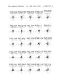 PROJECTION OPTICAL SYSTEM diagram and image