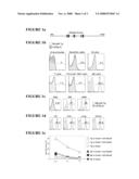 Compositions and Methods for Treating Proliferative Disorders diagram and image