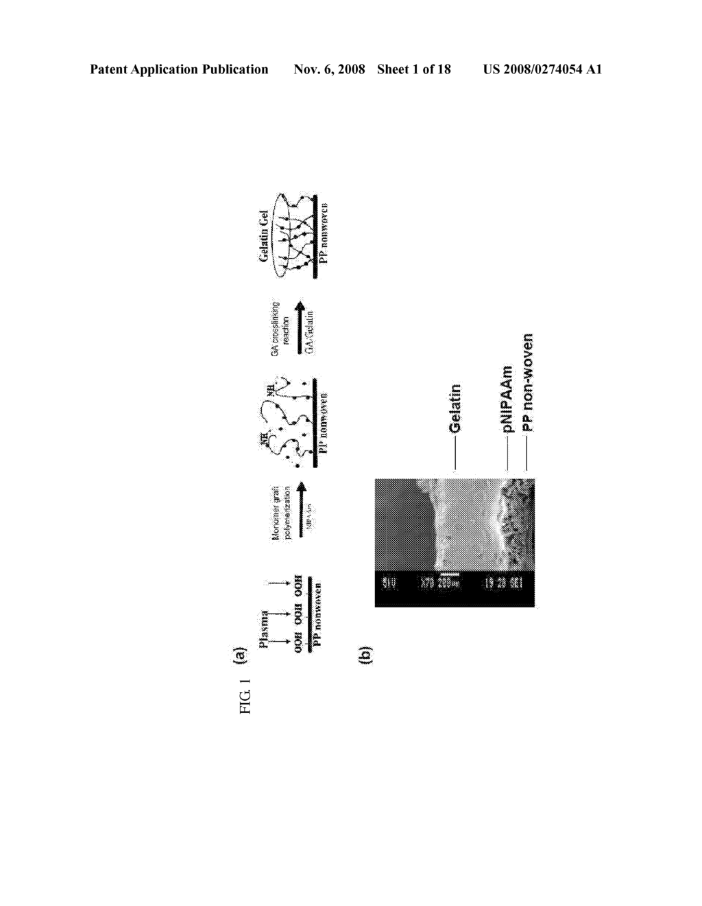 Composite for Thermo-Sensitive Cell-Tissue Transplanted Scaffold and Use thereof - diagram, schematic, and image 02