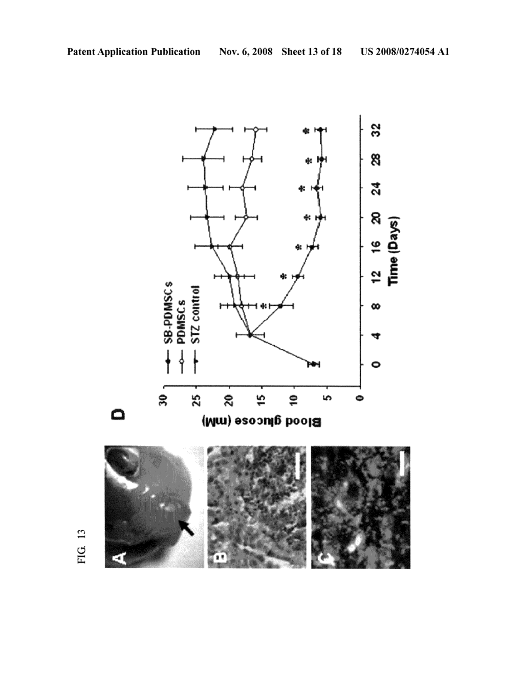 Composite for Thermo-Sensitive Cell-Tissue Transplanted Scaffold and Use thereof - diagram, schematic, and image 14