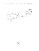 Antiviral Resistance Mutants and Applications Thereof diagram and image