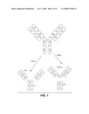 POLYPEPTIDE VARIANTS WITH ALTERED EFFECTOR FUNCTION diagram and image