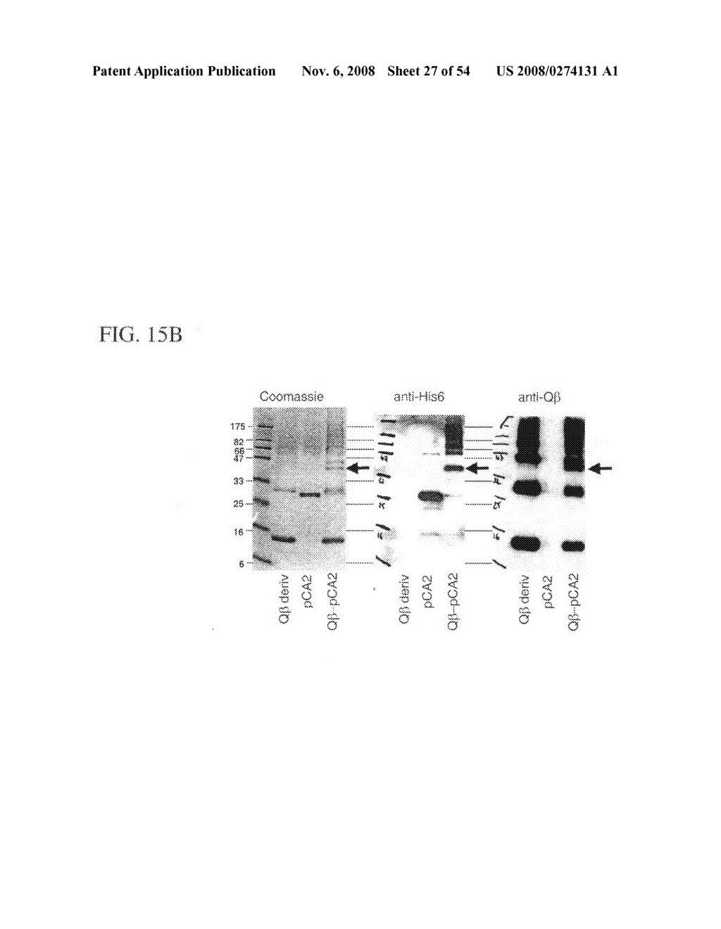 Molecular antigen arrary - diagram, schematic, and image 28