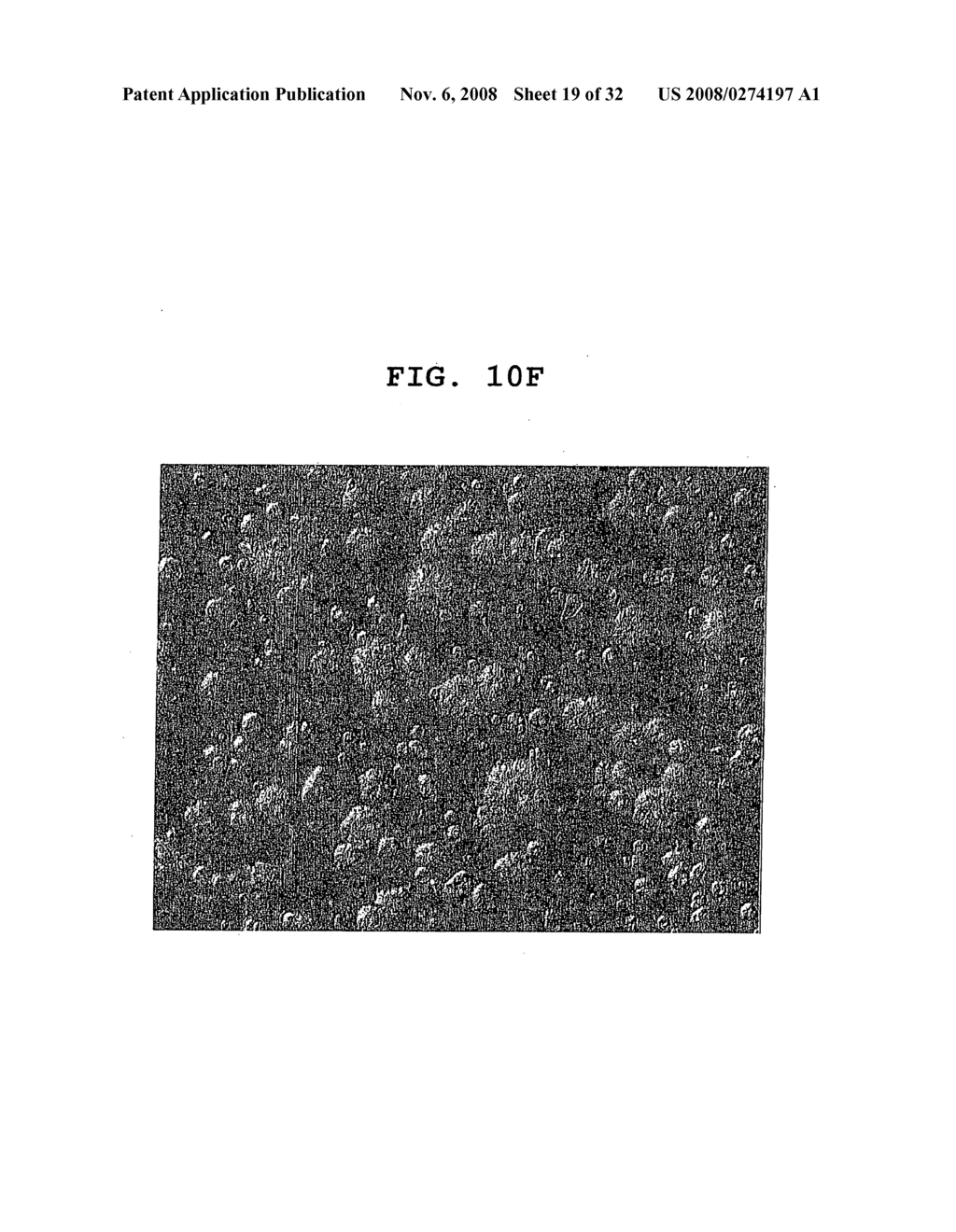 LYOPHILIZED FORMULATION - diagram, schematic, and image 20