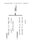 CONTROLLED RELEASE CERAMIC PARTICLES, COMPOSITIONS THEREOF, PROCESSES OF PREPARATION AND METHODS OF USE diagram and image