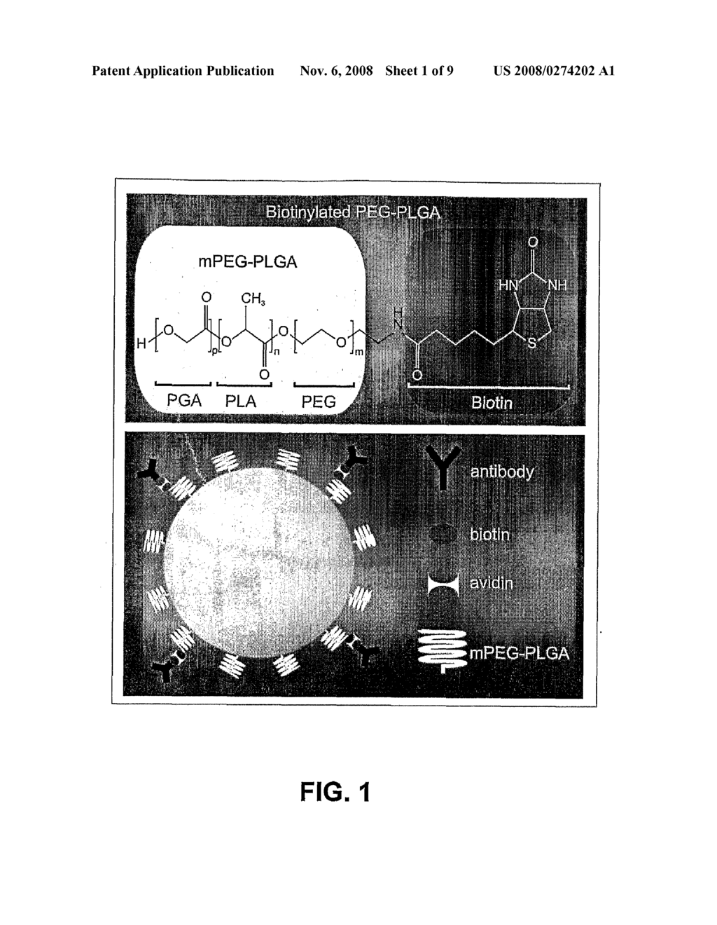 Compositions and Method for Brain Specific Targeted Delivery of Therapeutic Agents - diagram, schematic, and image 02