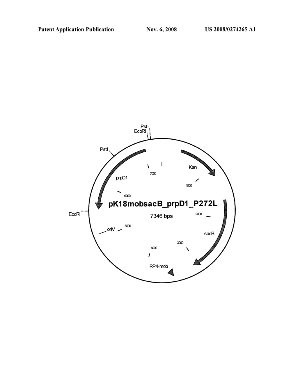 ALLELES OF THE PRPD1 GENE FROM CORYNEFORM BACTERIA - diagram, schematic, and image 02