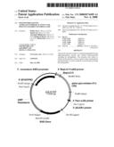 Polypeptides having alpha-glucosidase activity and polynucleotides encoding same diagram and image