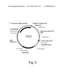 Polypeptides having alpha-glucosidase activity and polynucleotides encoding same diagram and image