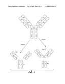 POLYPEPTIDE VARIANTS WITH ALTERED EFFECTOR FUNCTION diagram and image