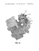 POLYPEPTIDE VARIANTS WITH ALTERED EFFECTOR FUNCTION diagram and image