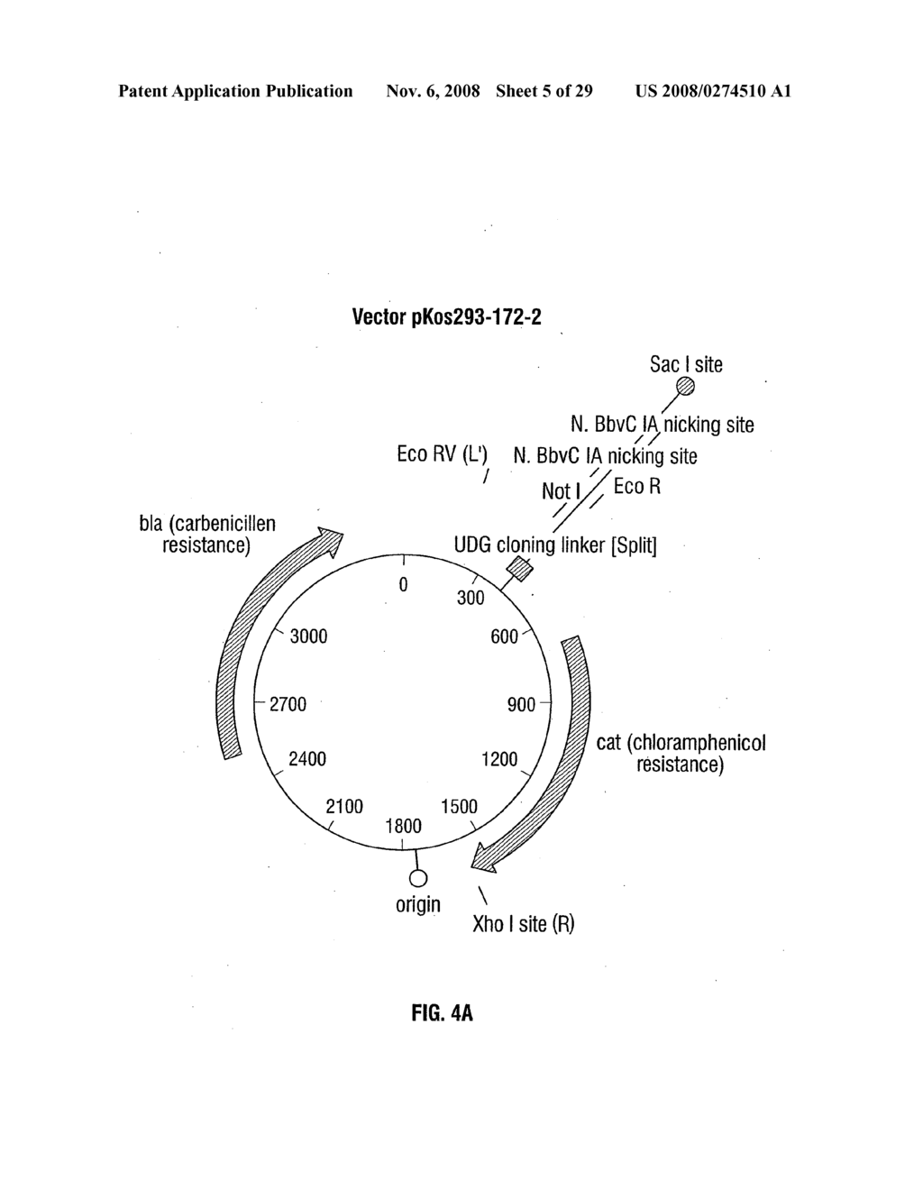 Synthetic genes - diagram, schematic, and image 06