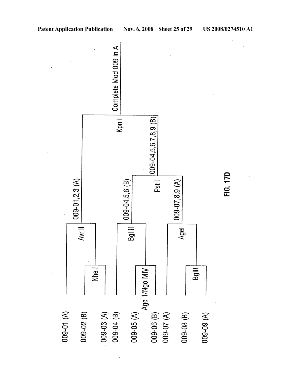 Synthetic genes - diagram, schematic, and image 26