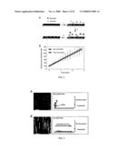 MICROFLUIDIC CELLS WITH PARALLEL ARRAYS OF INDIVIDUAL DNA MOLECULES diagram and image