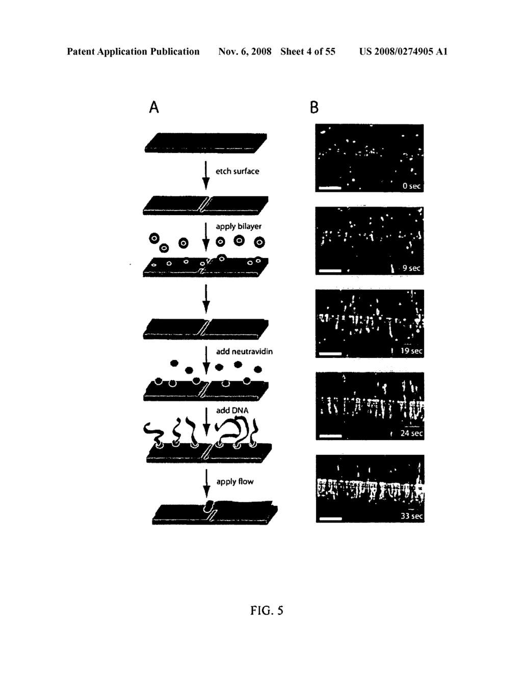 MICROFLUIDIC CELLS WITH PARALLEL ARRAYS OF INDIVIDUAL DNA MOLECULES - diagram, schematic, and image 05