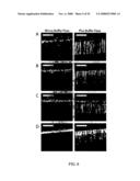 MICROFLUIDIC CELLS WITH PARALLEL ARRAYS OF INDIVIDUAL DNA MOLECULES diagram and image