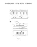 MICROFLUIDIC CELLS WITH PARALLEL ARRAYS OF INDIVIDUAL DNA MOLECULES diagram and image