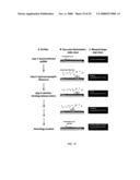 MICROFLUIDIC CELLS WITH PARALLEL ARRAYS OF INDIVIDUAL DNA MOLECULES diagram and image