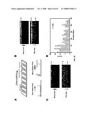 MICROFLUIDIC CELLS WITH PARALLEL ARRAYS OF INDIVIDUAL DNA MOLECULES diagram and image