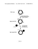 MICROFLUIDIC CELLS WITH PARALLEL ARRAYS OF INDIVIDUAL DNA MOLECULES diagram and image