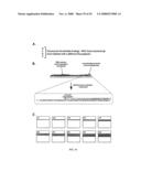 MICROFLUIDIC CELLS WITH PARALLEL ARRAYS OF INDIVIDUAL DNA MOLECULES diagram and image