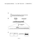 MICROFLUIDIC CELLS WITH PARALLEL ARRAYS OF INDIVIDUAL DNA MOLECULES diagram and image