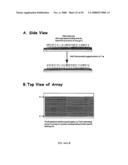 MICROFLUIDIC CELLS WITH PARALLEL ARRAYS OF INDIVIDUAL DNA MOLECULES diagram and image