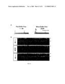 MICROFLUIDIC CELLS WITH PARALLEL ARRAYS OF INDIVIDUAL DNA MOLECULES diagram and image