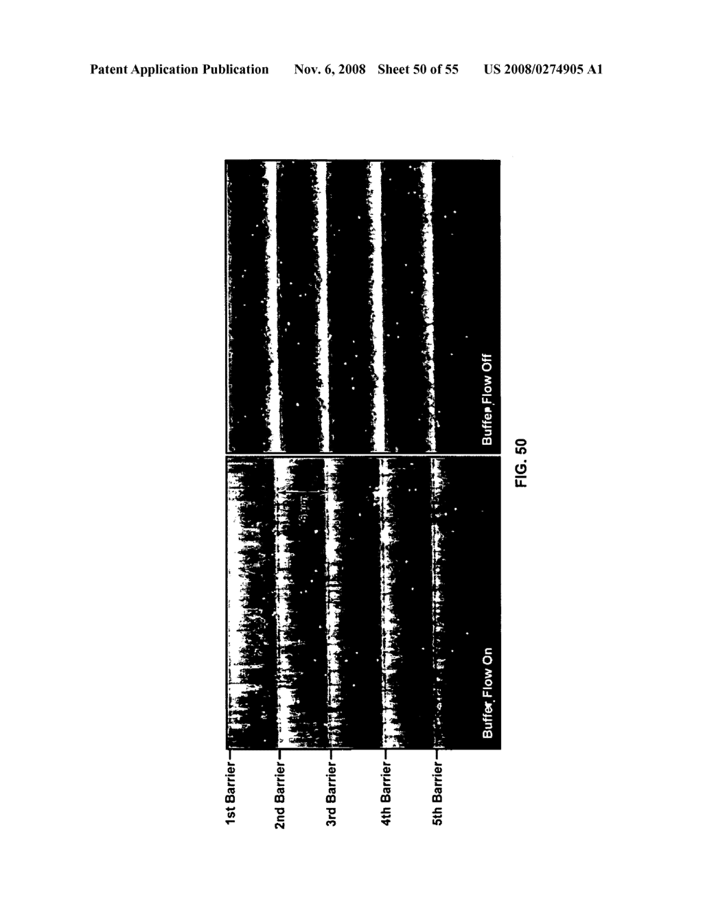 MICROFLUIDIC CELLS WITH PARALLEL ARRAYS OF INDIVIDUAL DNA MOLECULES - diagram, schematic, and image 51