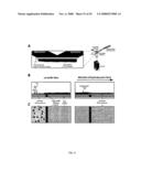 MICROFLUIDIC CELLS WITH PARALLEL ARRAYS OF INDIVIDUAL DNA MOLECULES diagram and image