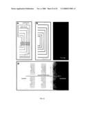 MICROFLUIDIC CELLS WITH PARALLEL ARRAYS OF INDIVIDUAL DNA MOLECULES diagram and image