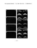 MICROFLUIDIC CELLS WITH PARALLEL ARRAYS OF INDIVIDUAL DNA MOLECULES diagram and image