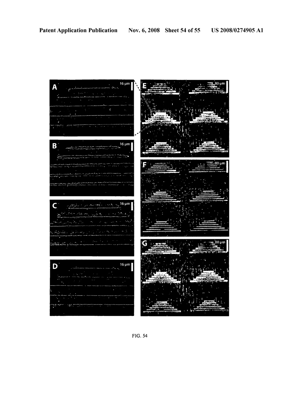 MICROFLUIDIC CELLS WITH PARALLEL ARRAYS OF INDIVIDUAL DNA MOLECULES - diagram, schematic, and image 55