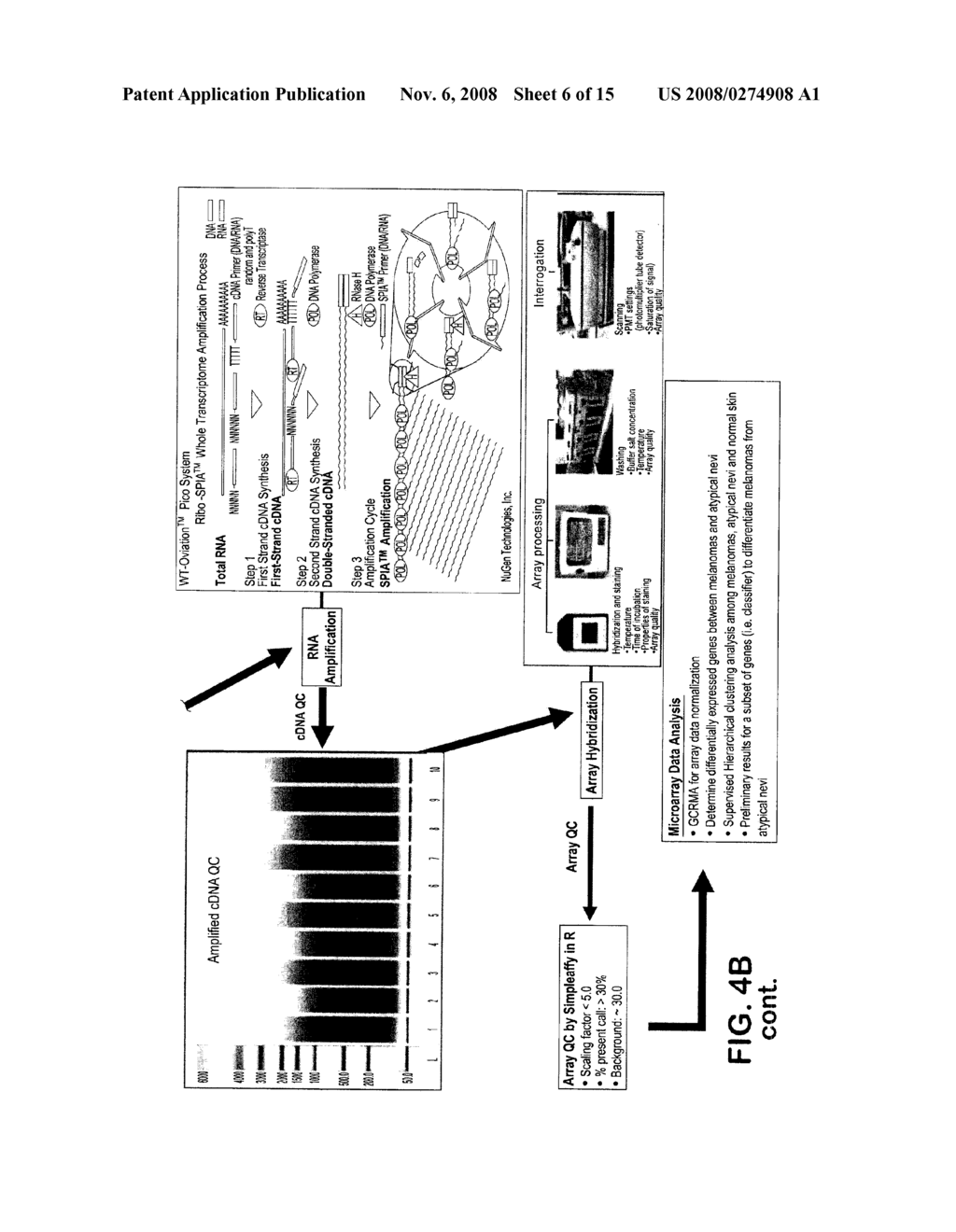 DIAGNOSIS OF MELANOMA BY NUCLEIC ACID ANALYSIS - diagram, schematic, and image 07