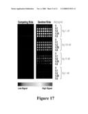 Solid Substrate Comprising Array of Dendrons and Methods for Using the Same diagram and image