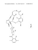 Actinomadura Chromoprotein, Apoprotein and Gene Cluster diagram and image