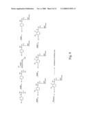 Actinomadura Chromoprotein, Apoprotein and Gene Cluster diagram and image