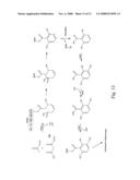 Actinomadura Chromoprotein, Apoprotein and Gene Cluster diagram and image