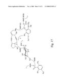 Actinomadura Chromoprotein, Apoprotein and Gene Cluster diagram and image