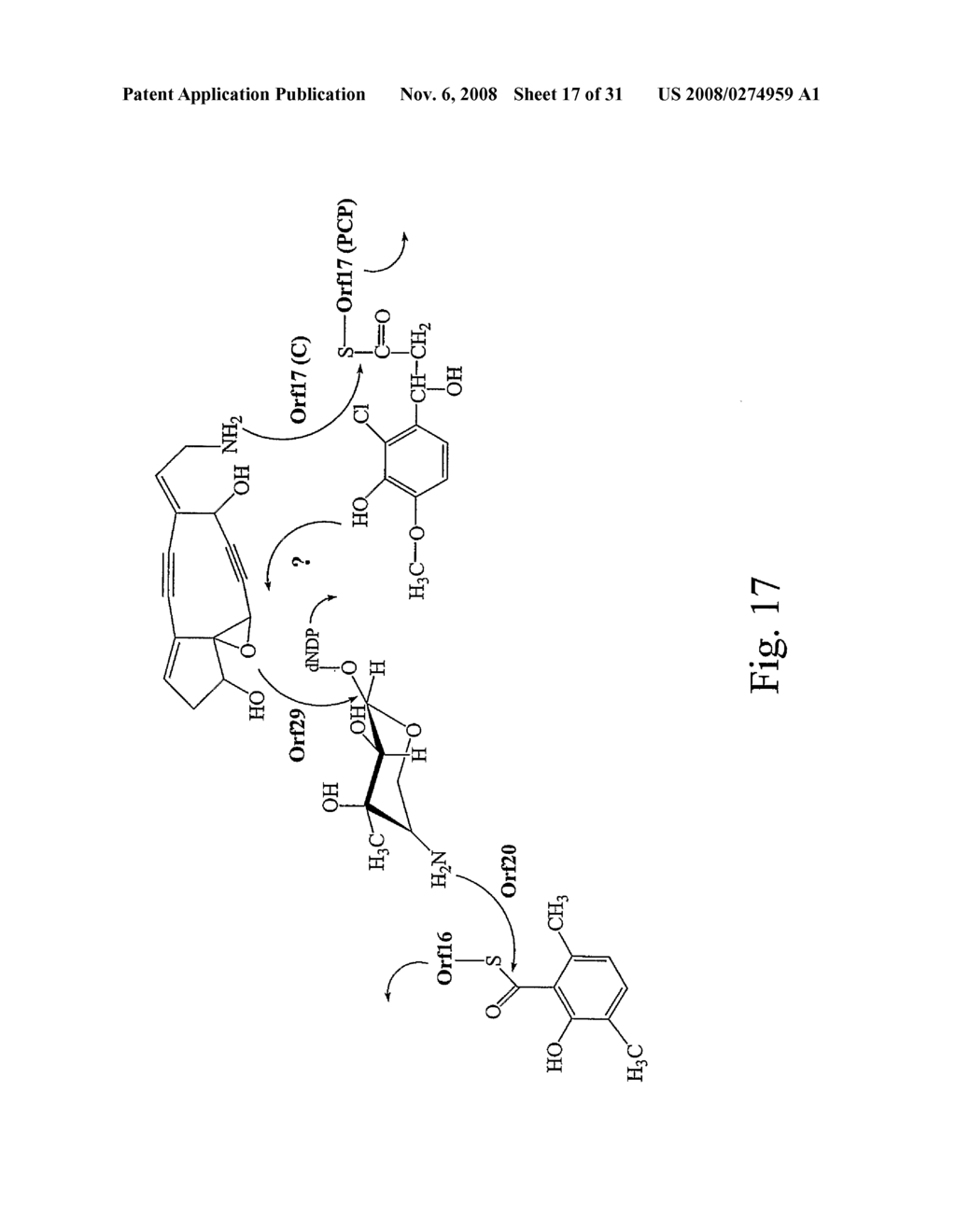 Actinomadura Chromoprotein, Apoprotein and Gene Cluster - diagram, schematic, and image 18