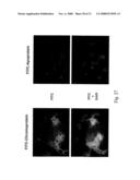 Actinomadura Chromoprotein, Apoprotein and Gene Cluster diagram and image