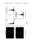 Actinomadura Chromoprotein, Apoprotein and Gene Cluster diagram and image