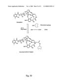 Actinomadura Chromoprotein, Apoprotein and Gene Cluster diagram and image