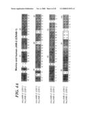 VASCULAR ADHESION MOLECULES AND MODULATION OF THEIR FUNCTION diagram and image