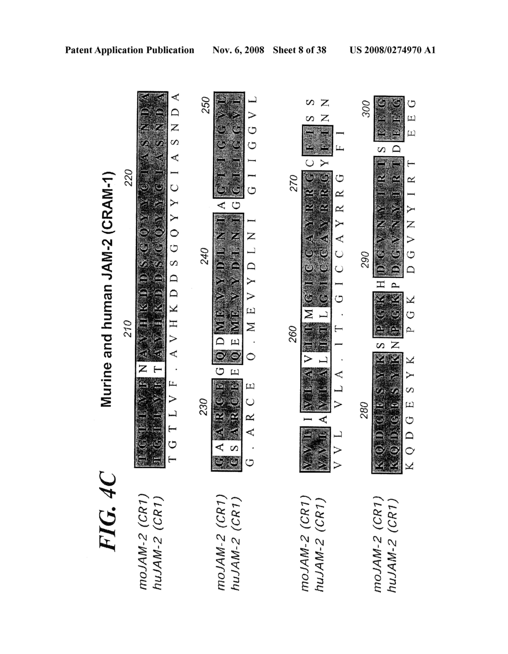 VASCULAR ADHESION MOLECULES AND MODULATION OF THEIR FUNCTION - diagram, schematic, and image 09