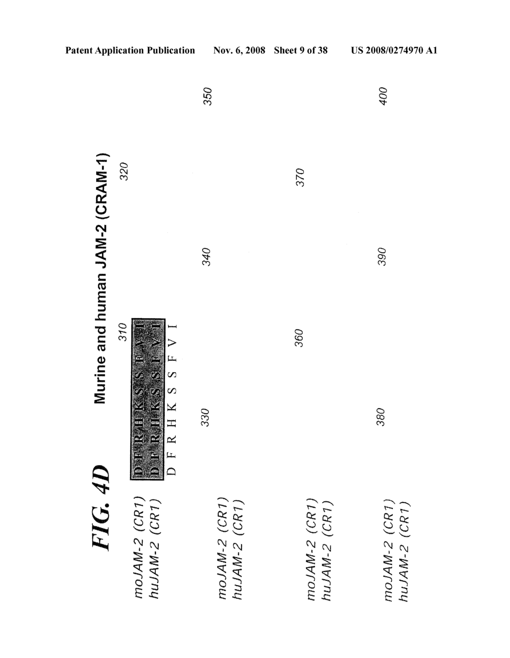 VASCULAR ADHESION MOLECULES AND MODULATION OF THEIR FUNCTION - diagram, schematic, and image 10