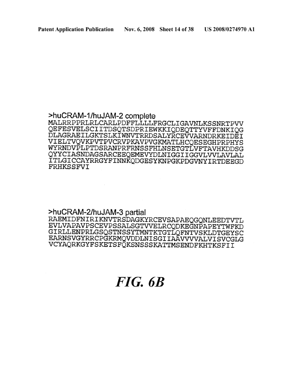 VASCULAR ADHESION MOLECULES AND MODULATION OF THEIR FUNCTION - diagram, schematic, and image 15