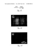 Rna Interference Suppression of Neurodegenerative Diseases and Methods of Use Thereof diagram and image